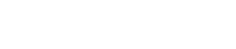Velké hlavní logo SpeedDream 2024 white